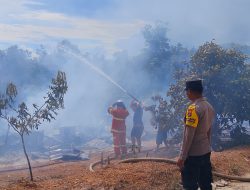 Kebakaran Hanguskan 9 Kamar Mes dan Gudang Milik PT BBP