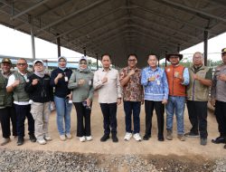 Wamenko Pangan RI Tinjau KSPEAN di Tanah Bumbu, Pemkab Dukung Integrasi Sapi-Sawit