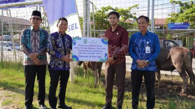 Rayakan Idul Adha, Bank Kalsel Cabang Paringin Bagikan 24 Sapi Kurban
