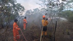 Tiga Karhutla Muncul dalam Sehari di Banjarbaru, Tim Gabungan Ekstra Kerja Padamkan Api
