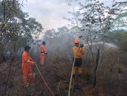 Tiga Karhutla Muncul dalam Sehari di Banjarbaru, Tim Gabungan Ekstra Kerja Padamkan Api