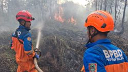 Karhutla Dekati Permukiman Warga di Landasan Ulin Banjarbaru, Api Menjalar Cepat