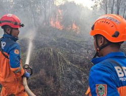 Karhutla Dekati Permukiman Warga di Landasan Ulin Banjarbaru, Api Menjalar Cepat