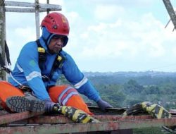 Kinerja PLN Terwujud dari Perkuat Keandalan Sistem Komunikasi Radio