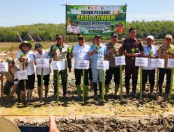 Bupati Tabalong Tanam Perdana Padi CSR, Dukung Swasembada Pangan Nasional