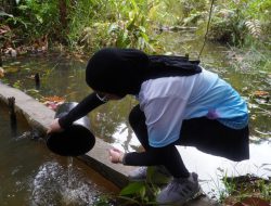 Semarakkan HUT ke-81 RI, PLN Gelar Aksi Peduli Lingkungan di Kebun Raya Balikpapan