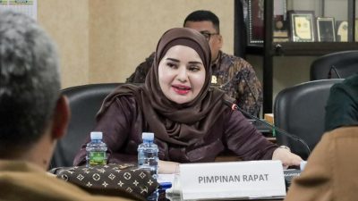 Ketua Komisi IV DPRD Kalsel Jihan Hanifah