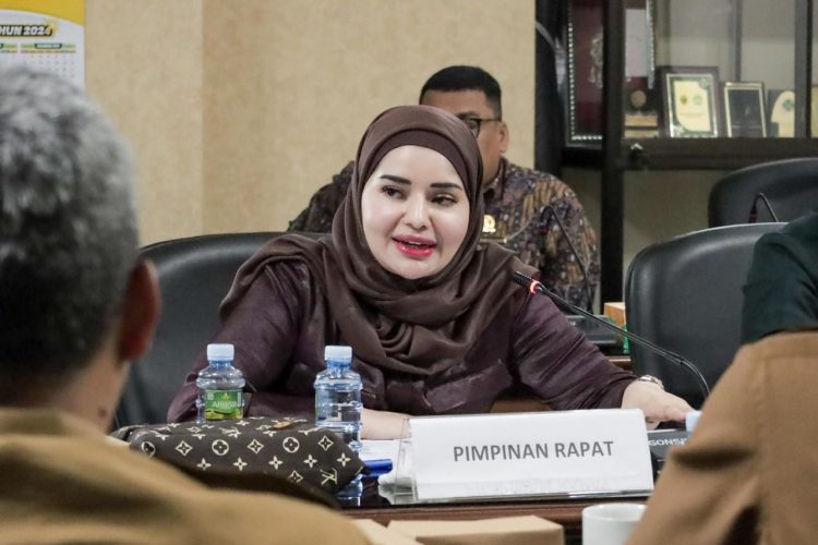 Ketua Komisi IV DPRD Kalsel Jihan Hanifah