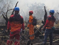 Aksi Cepat Tim PLN Padamkan Karhutla demi Lindungi Lingkungan dan Infrastruktur Ketenagalistrikan