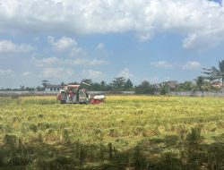 BPTPH Kalsel Maksimalkan Pompanisasi Hadapi Kemarau, Petani Diminta Tak Bakar Jerami
