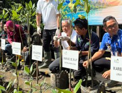 PLN Kembangkan Wisata Mangrove Berbasis Energi Bersih di Balikpapan Jelang HUT ke-81 RI