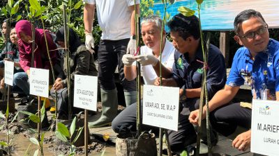 PLN Kembangkan Wisata Mangrove Berbasis Energi Bersih di Balikpapan Jelang HUT ke-81 RI