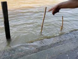 Petugas Sapu Pasar Baru Diduga Tenggelam di Sungai Martapura, Ditemukan Meninggal Setelah Tiga Kali Penyelaman