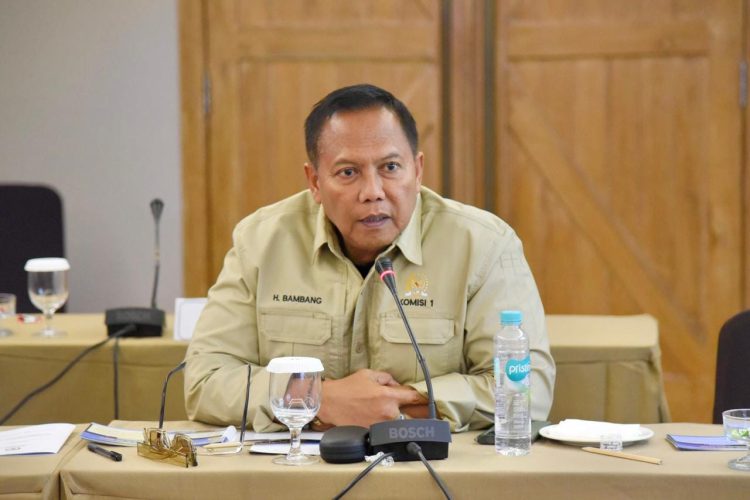 Anggota DPR RI Bambang Heri Purnama