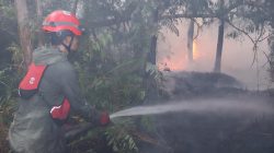 Karhutla Kalsel Makin Meluas, 2.675 Hektare Lahan Terbakar dalam Kurang dari Sebulan