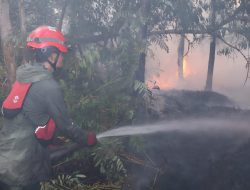 Karhutla Kalsel Makin Meluas, 2.675 Hektare Lahan Terbakar dalam Kurang dari Sebulan