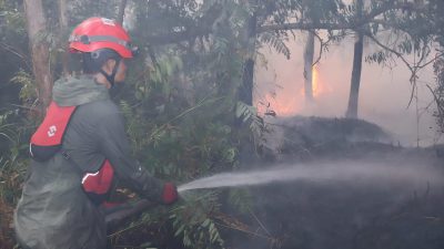Petugas URC Satgas Karhutla Kalsel memadamkan karhutla di kawasan Jalan Gubernur Syarkawi, Banjarbaru.
