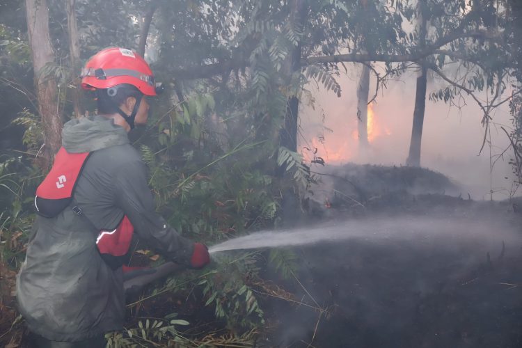 Petugas URC Satgas Karhutla Kalsel memadamkan karhutla di kawasan Jalan Gubernur Syarkawi, Banjarbaru.
