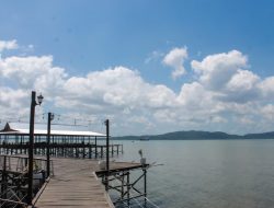 Bupati Andi Rudi Latif Dorong Wisata Mangrove Kersik Putih Jadi Ikon Wisata Tanah Bumbu