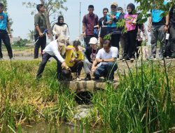 World Cleanup Day 2026 Resmi Dilaksanakan, Wamenko Pangan Dorong Pengelolaan Sampah dari Hulu