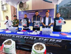 Polda Kalsel Ringkus 2 Pedagang 64 Kg Sisik Trenggiling, Keuntungan Capai Rp89,6 Juta