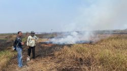 Diduga Bakar 17 Borongan Lahan Pakai Bambu, Petani Lansia di Simpur Dibekuk Polisi