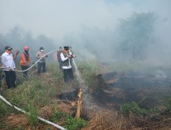 Gubernur Muhidin Dampingi Staf Khusus Presiden Haji Isam dan KSAL Padamkan Karhutla di Guntung Damar