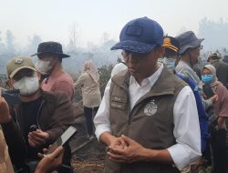 Kemenhut Kerahkan 1.000 Polhut ke Kalsel, Kalteng dan Kalbar untuk Perkuat Penanganan Karhutla