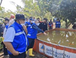 Menteri LH Sebut 11 Perusahaan di Kalsel Terindikasi Masuk Penanganan Kasus Karhutla