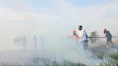 Wagub Kalsel Turun Langsung Padamkan Karhutla di Pengayuan