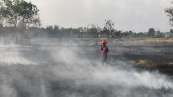 Riski, Relawan Cilik di Tengah Kepungan Asap Karhutla Pengayuan