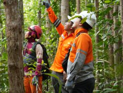 Jelang Hari Pelanggan Nasional, PLN Grebek ROW Buntok–Muara Teweh Cegah Gangguan Pohon