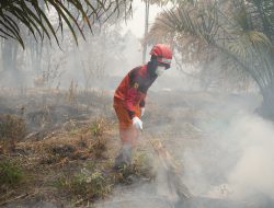 Hari Pelanggan Nasional: Tak Hanya Jaga Terang Listrik, PLN Turut Peduli Karhutla Kalteng
