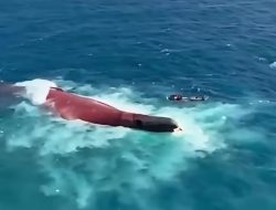 KM Virgo Terbalik dan Bergeser 1,6 Mil, Basarnas Pertimbangkan Balik Posisi Kapal