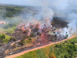 Karhutla Kalsel Hanguskan 16.539 Hektare, BPBD Catat 18.661 Titik Hotspot hingga September