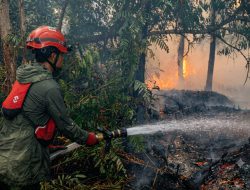 Sudah ‘Jungkir Balik’ Tangani Karhutla Kalsel, Tapi Sentimen Negatif Netizen Masih 68 Persen