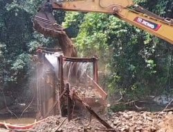 Hutan Desa Pa’au Diduga Digarap Tambang Emas, Excavator Terekam Mengeruk Tanah