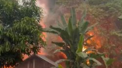 Pabrik Penggilingan Padi Pugaan Hangus Terbakar, Kerugian Ditaksir Rp100 Juta