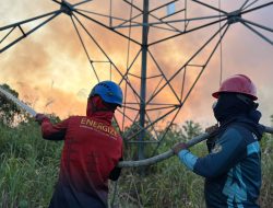 Aksi Nyata PLN ULTG Batulicin Jaga Aset Transmisi dari Karhutla, Wujud Kepedulian di Hari Pelanggan Nasional