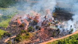 Klaim Karhutla Terkendali, Pemprov Kalsel Siapkan Bantuan untuk Kalteng