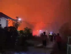 Karhutla di Handil Bakti Meluas, Api Sempat Mendekati Permukiman Warga