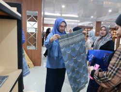 Andi Irmayani Rudi Latif Dorong Inovasi Dekranasda untuk Perkuat Kerajinan Tanah Bumbu