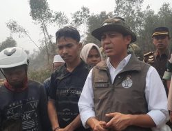 Hujan Diprediksi Sebulan Lagi, Menhut Minta Penanganan Karhutla Kalsel Tak Kendur