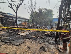 Api Berkobar di Jalan Pramuka Banjarmasin, Dua Usaha Mebel Dilalap Si Jago Merah